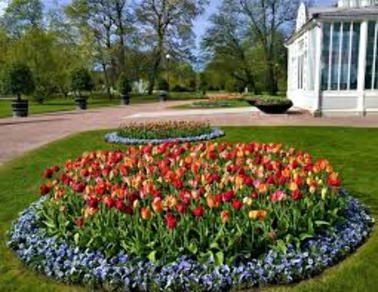 Garden Society of Gothenburg Trip Packages