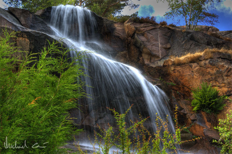 Gothenburg Botanical Garden Trip Packages