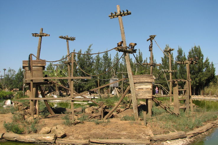 Lagos Zoo Trip Packages