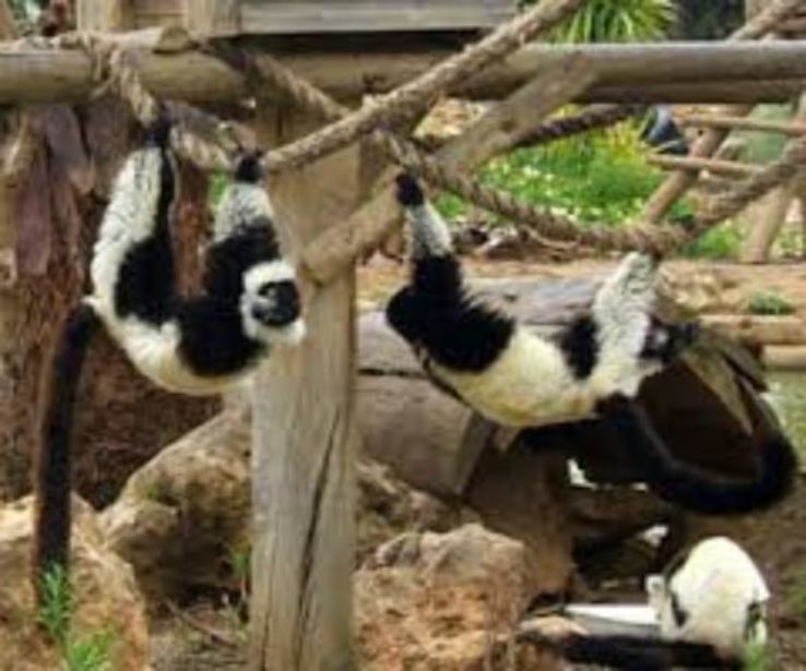 Lagos Zoo Trip Packages