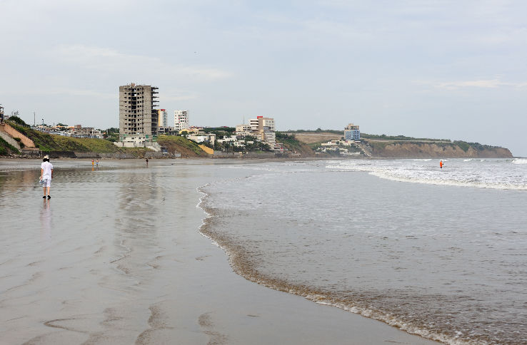 Bat Beach Trip Packages Bat Beach Trip Packages