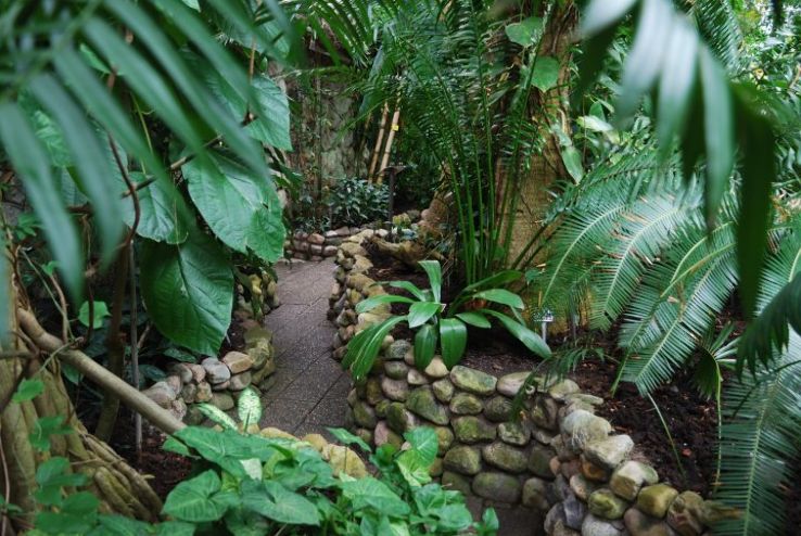 Botaniska tradgarden Trip Packages