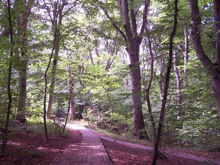 Dalby Soderskog National Park Trip Packages