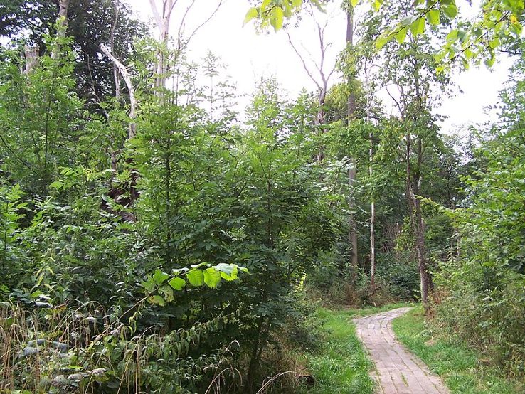 Dalby Soderskog National Park Trip Packages