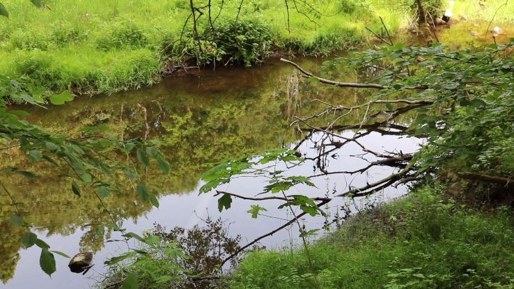 Rovarekulan Trip Packages