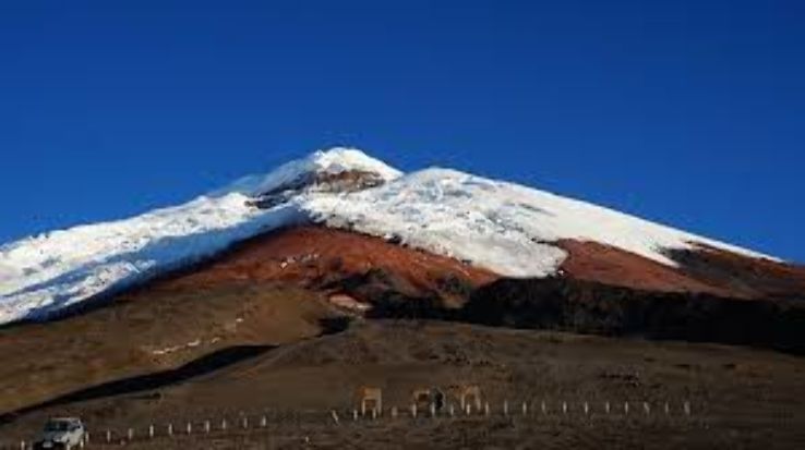 The Cotopaxi National Park  Trip Packages