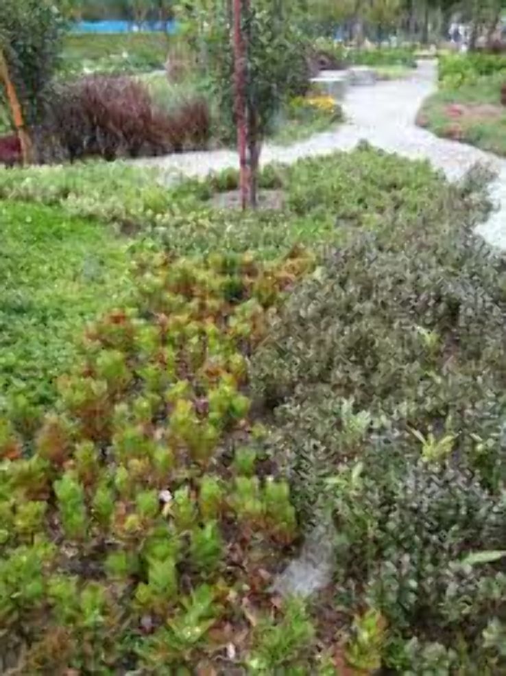 Parque La Carolina  Trip Packages