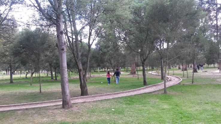 Parque La Carolina  Trip Packages