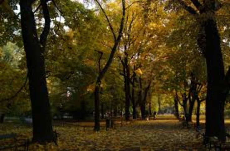 Planty Park Trip Packages