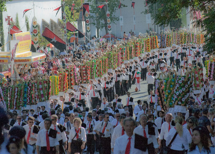 Feast of the Trays Trip Packages