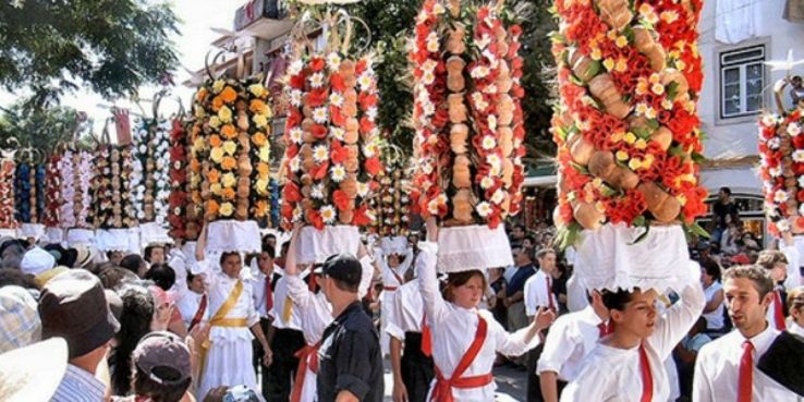 Feast of the Trays Trip Packages