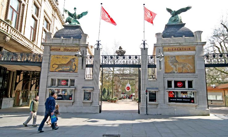 Antwerp Zoo Trip Packages