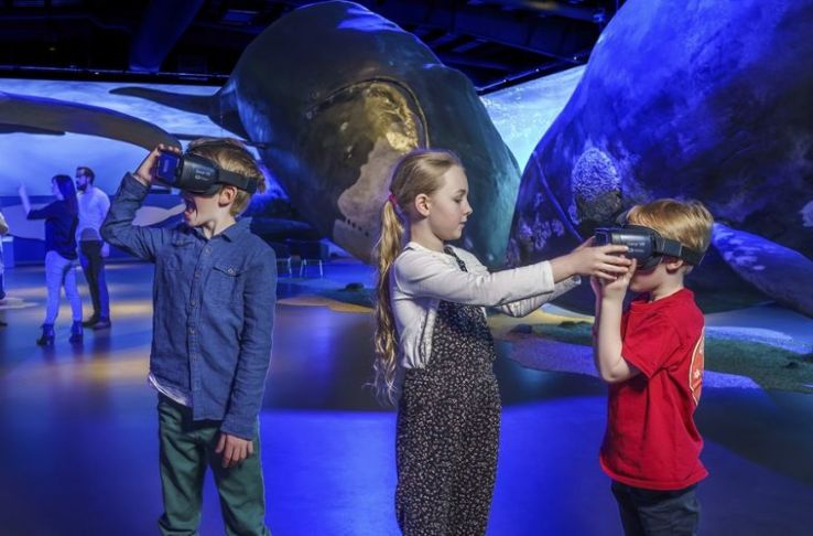 Whales of Iceland Trip Packages