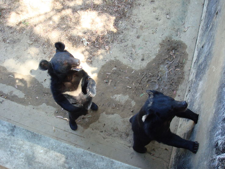 Hlagwa National Park  Trip Packages