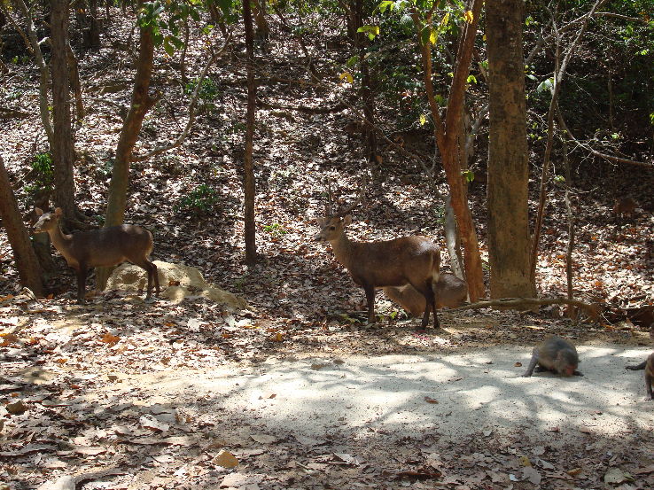 Hlagwa National Park  Trip Packages