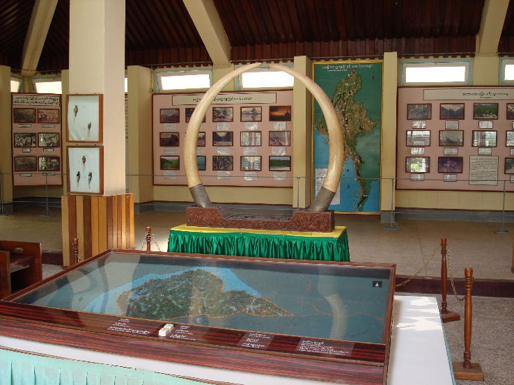 Hlagwa National Park  Trip Packages