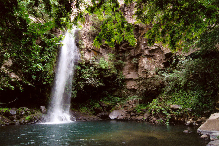 Rincon De La Vieja National Park Trip Packages