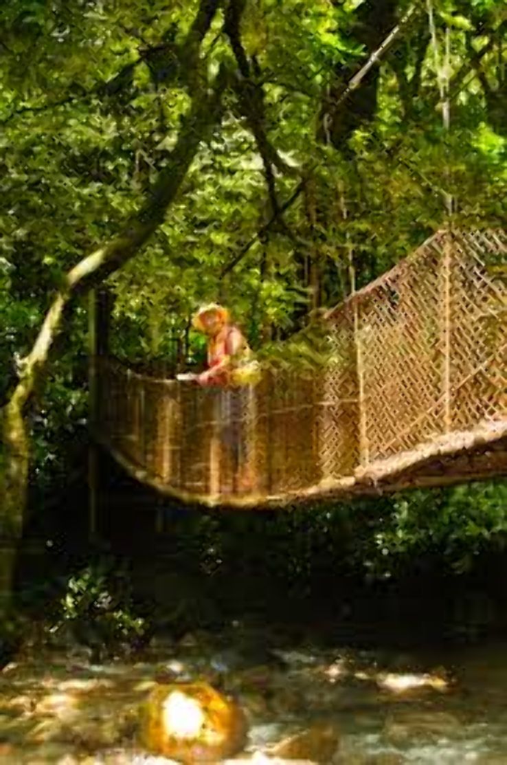 Rincon De La Vieja National Park Trip Packages