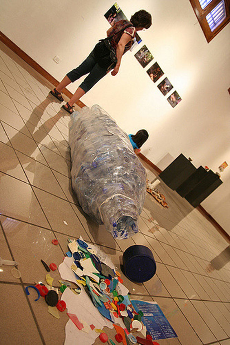 Museo de los Ninos Trip Packages