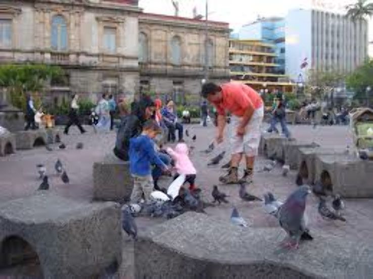 Mercado Centrale Trip Packages