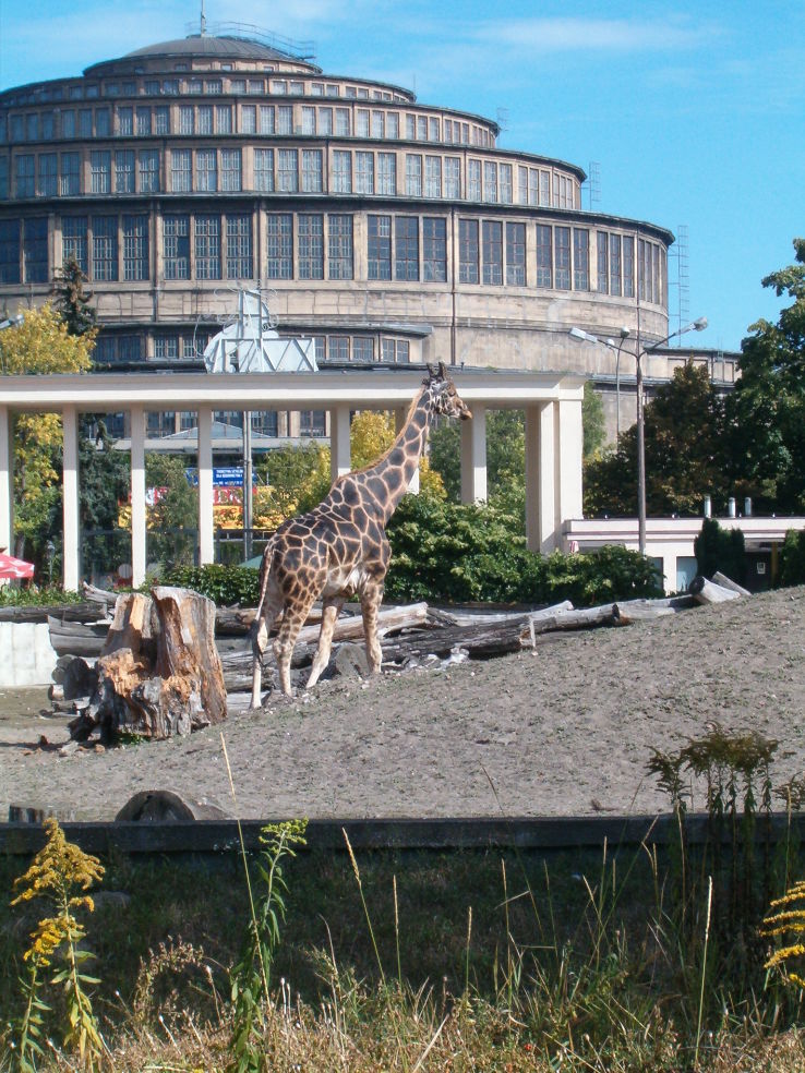 Wroclaw Zoo  Trip Packages