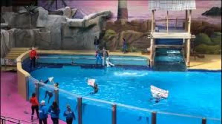 Belgiums Answer to Seaworld Trip Packages