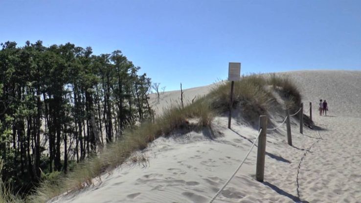 Park Wydmowy Trip Packages