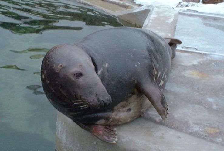 Seal of the Marine Station Trip Packages