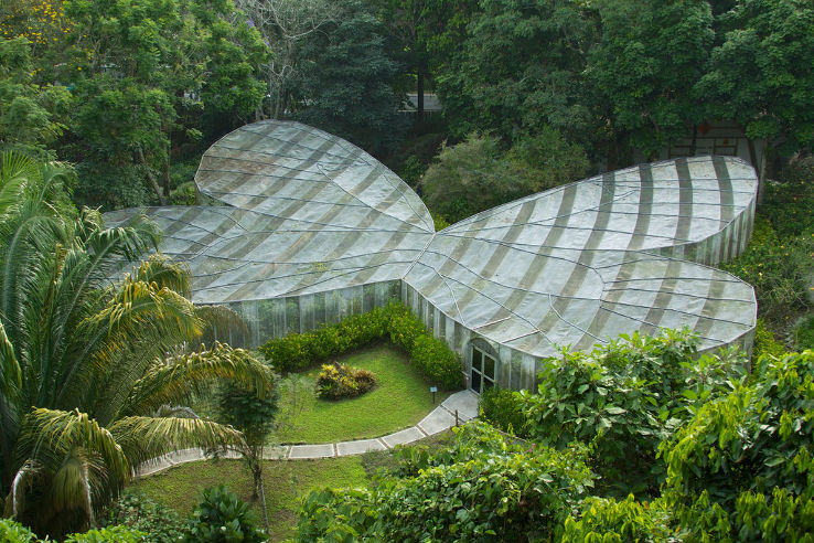 Quindio Botanical Garden Trip Packages