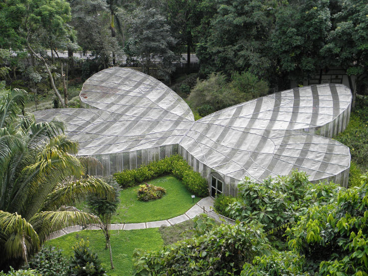 Quindio Botanical Garden Trip Packages