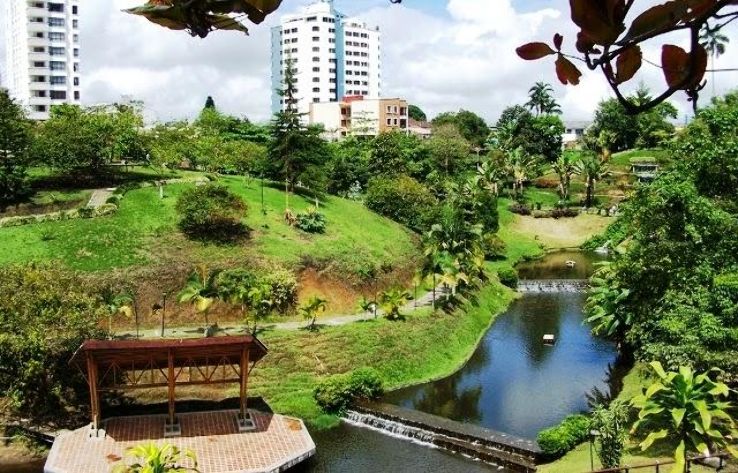 Vida Park Trip Packages