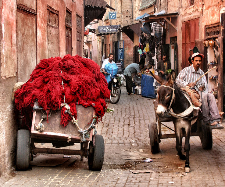 Stroll along Medina of Sale Trip Packages