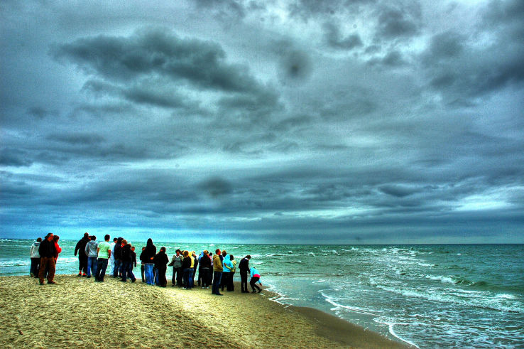 Grenen Trip Packages