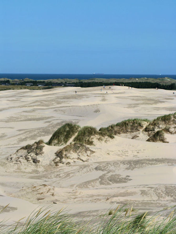 Rabjerg Mile Trip Packages