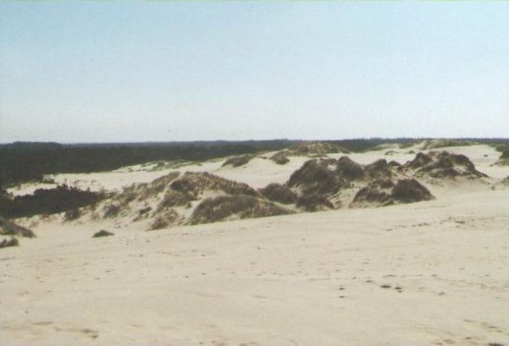 Rabjerg Mile Trip Packages