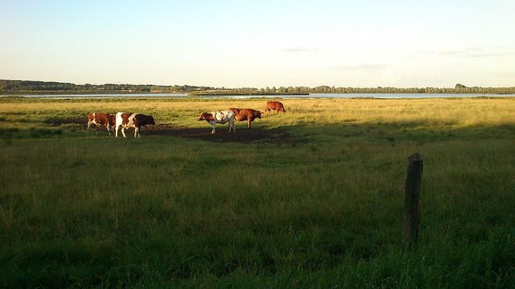 Ega Engso Trip Packages