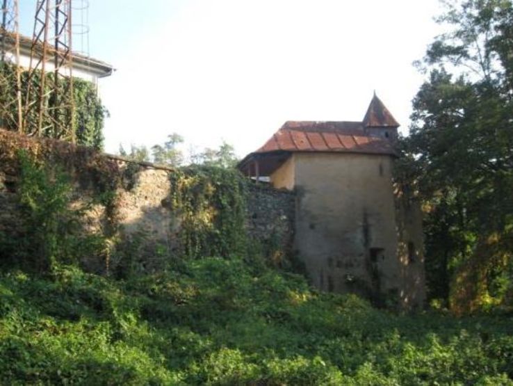 Josika Branisca Castle  Trip Packages