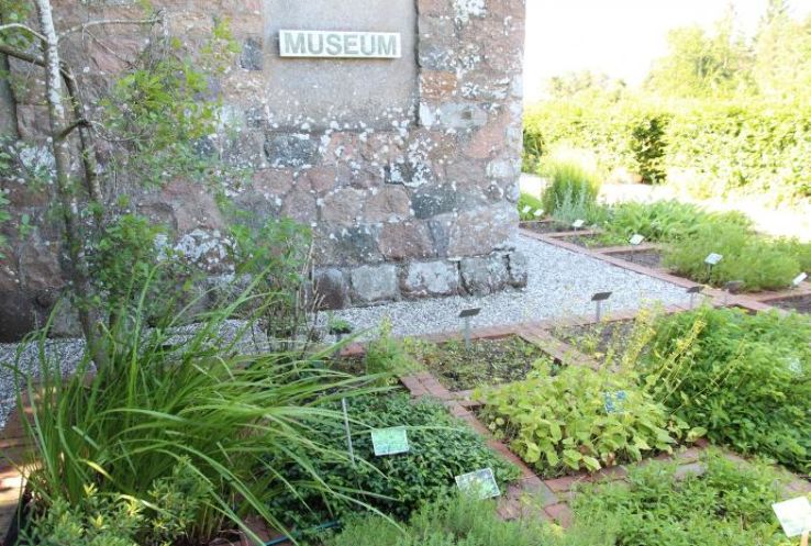  Om Kloster Museum Trip Packages