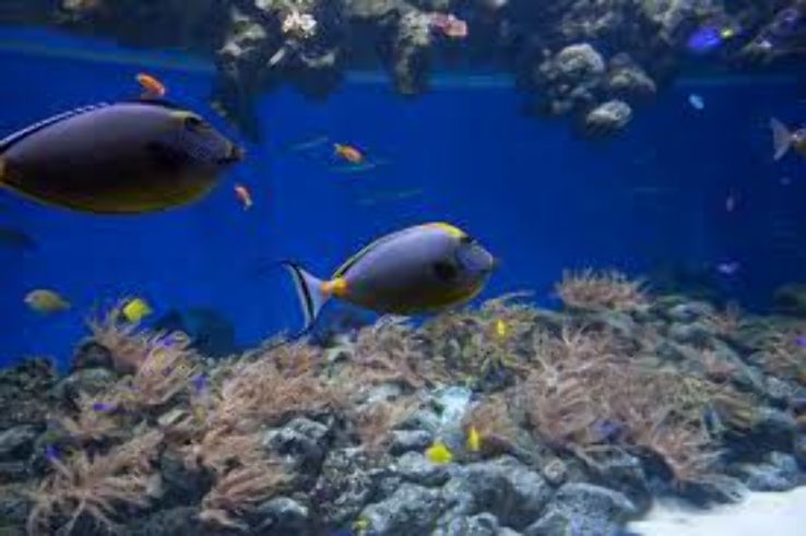 Bergen Aquarium  Trip Packages
