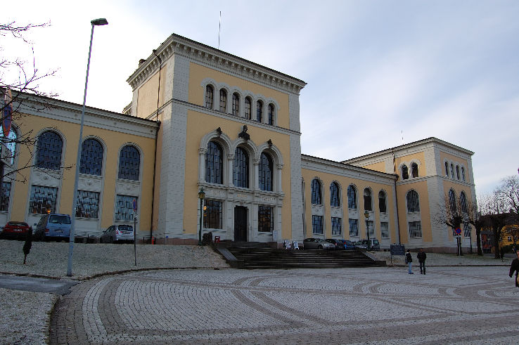 University Museum of Bergen Trip Packages