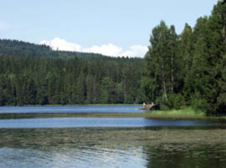  Drammenselva Trip Packages