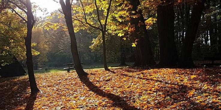  Las Wolski Trip Packages