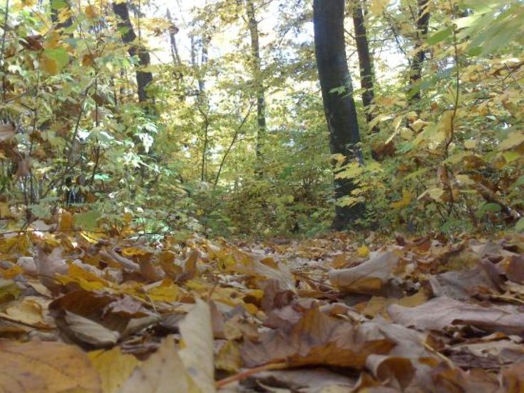  Las Wolski Trip Packages