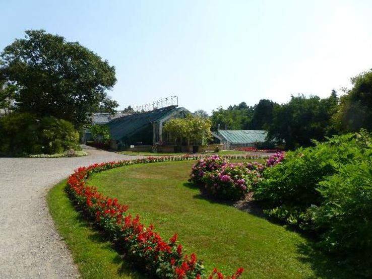 Botanic Garden of the Jagiellonian University Trip Packages