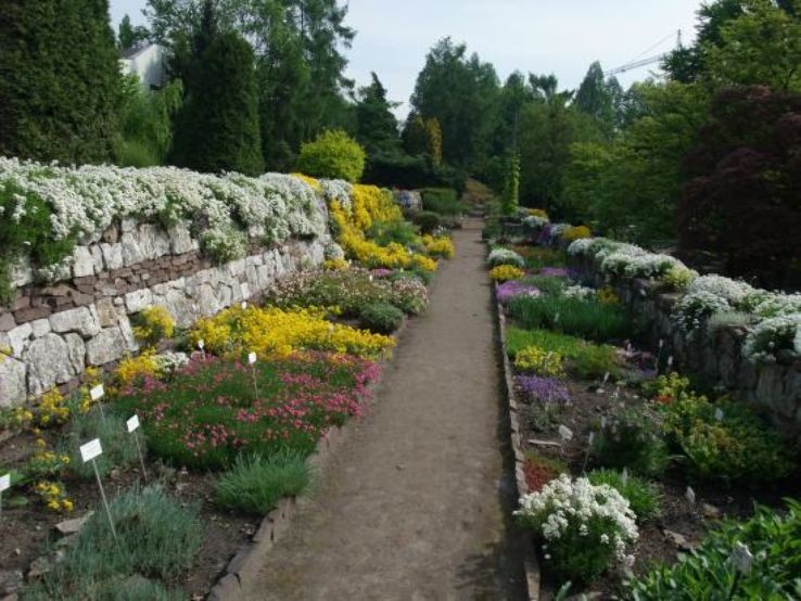 Botanic Garden of the Jagiellonian University Trip Packages