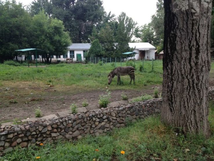 Almaty Zoo Trip Packages