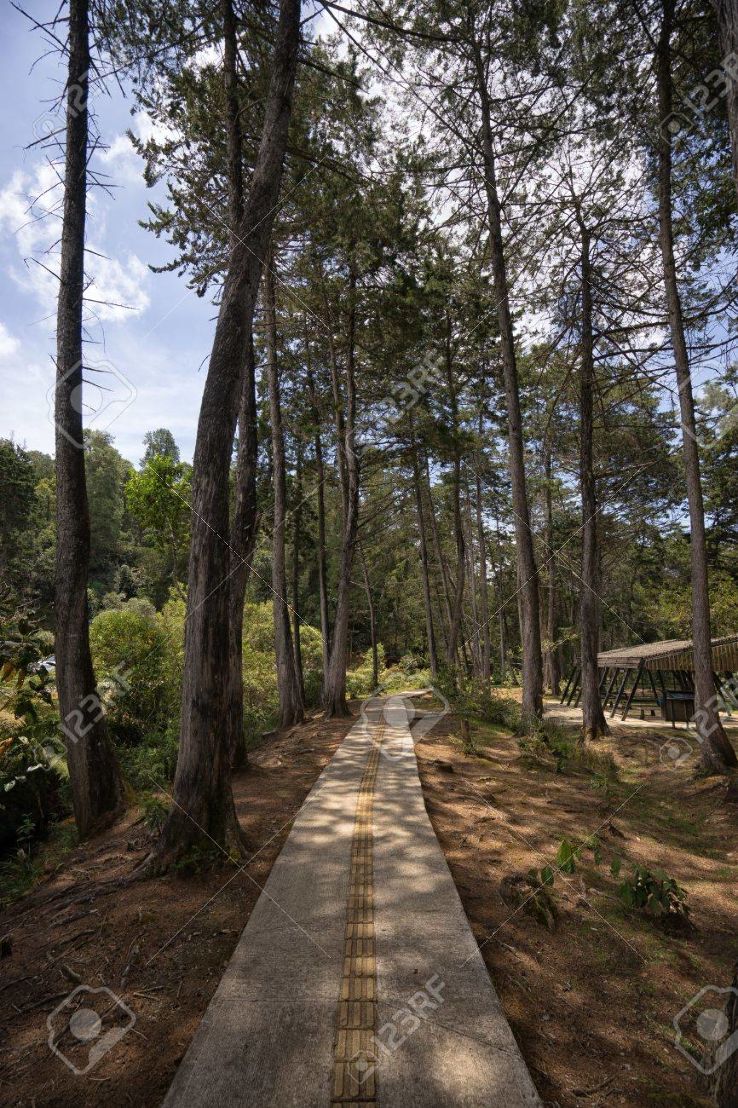 Arvi Park Trip Packages