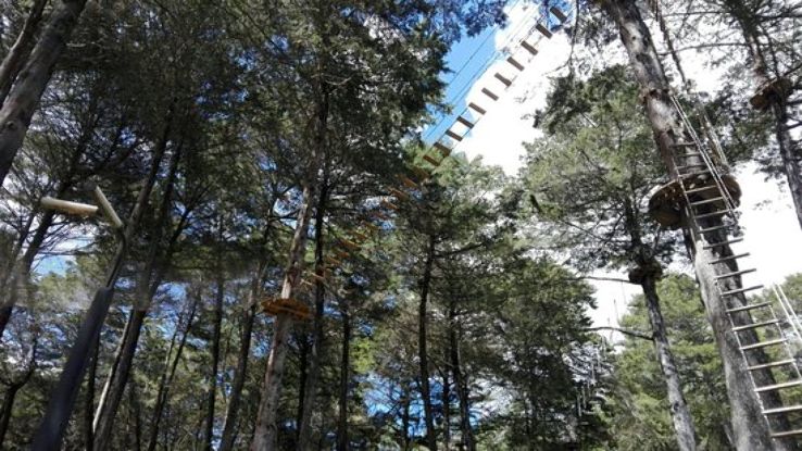 Arvi Park Trip Packages