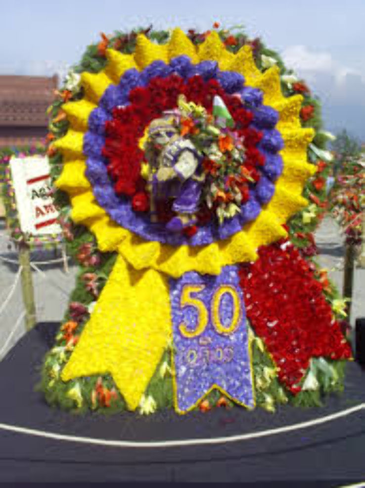 Flower Festival Trip Packages