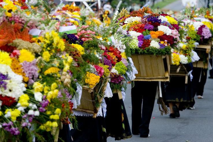 Flower Festival Trip Packages